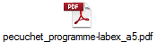 pecuchet_programme-labex_a5.pdf
